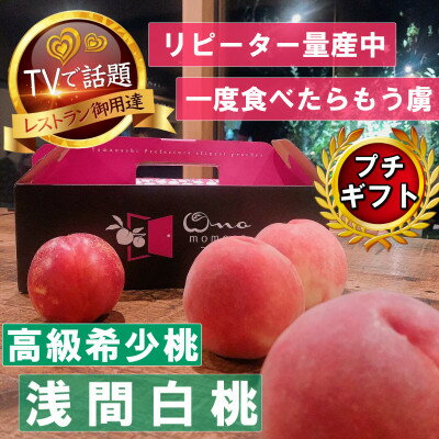 【市場にほぼ出回らない浅間白桃】人気品種指定ギフト5年連続TV出演話題ブランド2026年7月中旬発送【配送不可地域：離島・北海道・沖縄県・中国・四国・九州】【1465254】