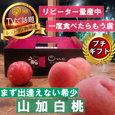 【まず出逢えない気品高い山加白桃】人気品種指定ギフト5年連続TV出演話題ブランド2026年7月下旬～【配送不可地域：離島・北海道・沖縄県・中国・四国・九州】【1465316】
