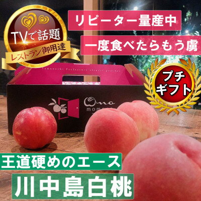 《王道硬めのエース川中島白桃》桃グランプリ銅賞&5年連続TV出演話題ブランド2026年8月上旬発送【配送不可地域：離島・北海道・沖縄県・中国・四国・九州】【1465325】