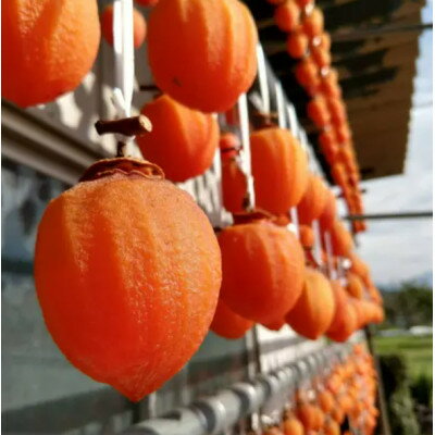 【ふるさと納税】【予約困難一流レストラン御用達】幻の霜降り柿 最大糖度50度オーバー12月下旬より発送【1466623】 サムネイル2