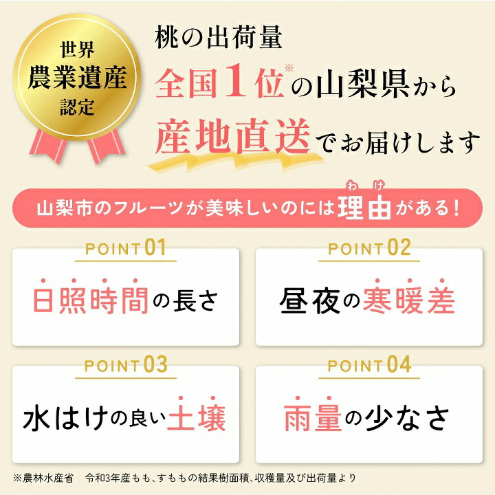 【ふるさと納税】【2026年 先行受付】旬の桃 ギフト箱入 選べる内容量 1kg 1.5kg 2kg 3kg 4kg_桃 山梨 もも モモ フルーツ 果物 くだもの ギフト 山梨県 人気 美味しい 送料無料【配送不可地域：離島・沖縄県】【G1017345】 サムネイル3