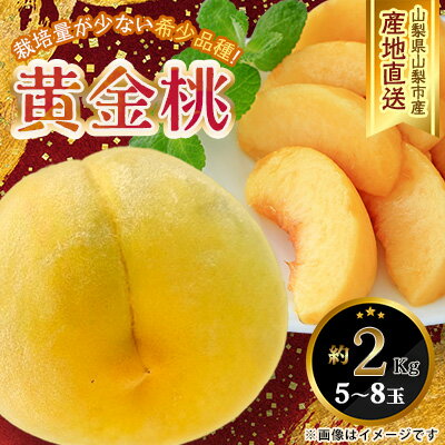 2026年先行予約 山梨県山梨市産 黄桃 黄金桃 約2kg 5玉～8玉【配送不可地域：離島】【1328634】
