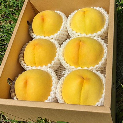 【ふるさと納税】【ふるさと納税】2026年先行予約 山梨県山梨市産 黄桃 黄金桃 約2kg 5玉～8玉【配送不可地域：離島】【1328634】 サムネイル3