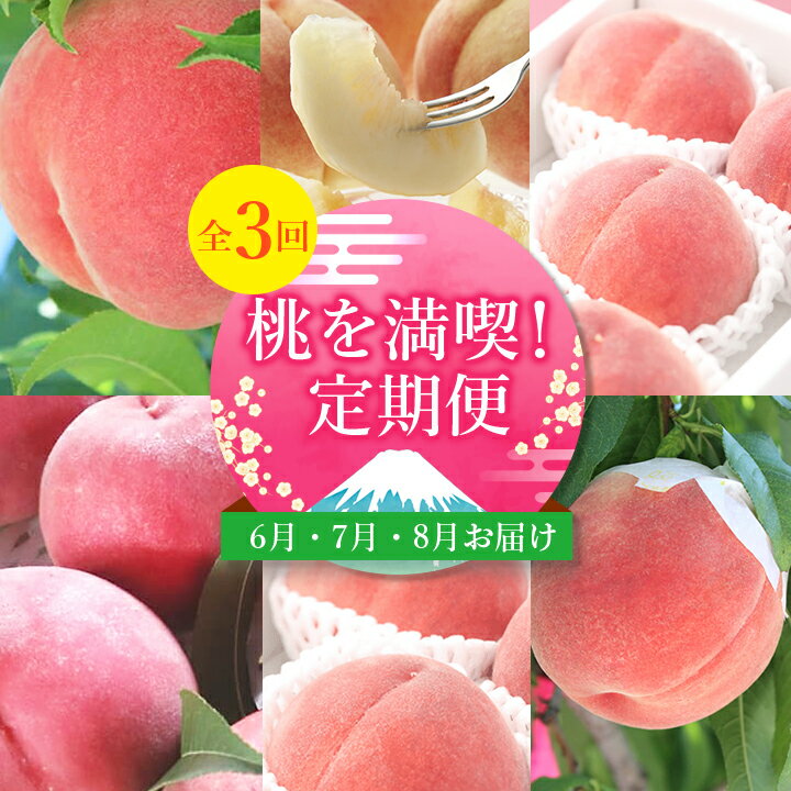 【発送月固定定期便】桃好きさん、集まれ～!個性ある3種のももが楽しめる全3回_定期便 桃 もも モモ 食べ比べ 山梨 完熟 産地直送 国産 贈答 ギフト プレゼント 甘い 白桃 【配送不可地域：離島・沖縄県】【4005028】