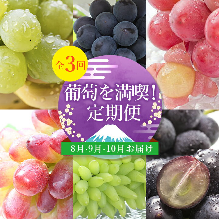 【発送月固定定期便】葡萄好きさん、集まれ～!人気のフルーツぶどうの定期便全3回_ シャインマスカット ぶとう マスカット ブドウ 葡萄 黒葡萄 山梨県 定期便 全3回 果物 くだもの フルーツ【配送不可地域：離島・沖縄県】【4005030】