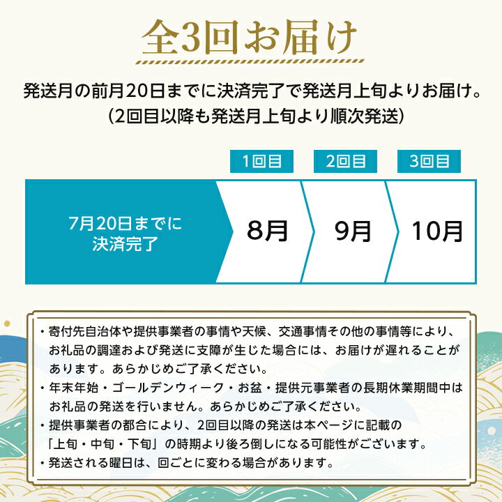 【ふるさと納税】【発送月固定定期便】葡萄好きさん、集まれ～!人気のフルーツぶどうの定期便全3回_ シャインマスカット ぶとう マスカット ブドウ 葡萄 黒葡萄 山梨県 定期便 全3回 果物 くだもの フルーツ【配送不可地域：離島・沖縄県】【4005030】 サムネイル3
