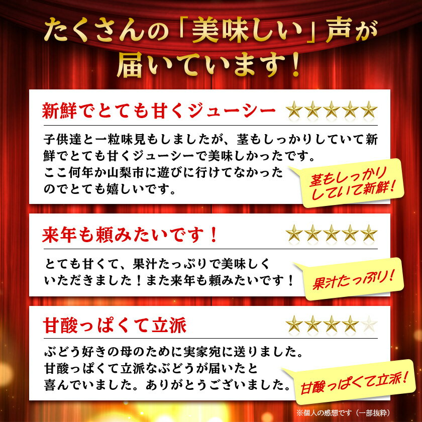 【ふるさと納税】【2026年先行予約】山梨市産「巨峰(種なし)」詰め合わせ(約500g×3房)_ ふるさと納税 フルーツ 果物 くだもの マスカット ブドウ ぶどう 葡萄 ふるさと 人気 山梨 山梨県 送料無料【配送不可地域：離島・沖縄県】【1117300】 サムネイル2