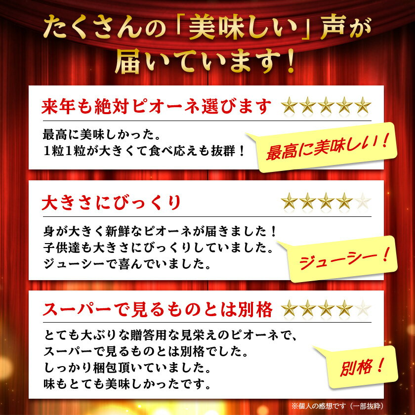 【ふるさと納税】【2026年先行予約】ピオーネ 約550g×3房 山梨市産 「ピオーネ(種なし)」 詰め合わせ_ ふるさと納税 ふるさと ぶどう ブドウ 葡萄 フルーツ 果物 くだもの 人気 美味しい 山梨県 山梨市 山梨 【配送不可地域：離島・沖縄県】【1117301】 サムネイル2