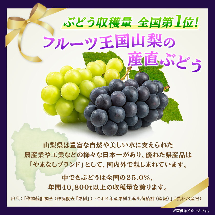 【ふるさと納税】【2026年先行予約】ピオーネ 約550g×3房 山梨市産 「ピオーネ(種なし)」 詰め合わせ_ ふるさと納税 ふるさと ぶどう ブドウ 葡萄 フルーツ 果物 くだもの 人気 美味しい 山梨県 山梨市 山梨 【配送不可地域：離島・沖縄県】【1117301】 サムネイル3