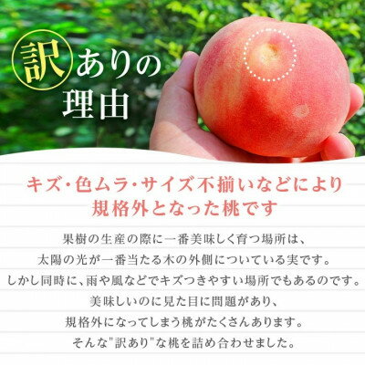 【ふるさと納税】2026年 先行予約【訳あり】山梨もも2kg以上 5～8玉 熟練農家厳選の旬の桃 ご家庭用_ ふるさと納税 桃 もも モモ フルーツ 果物 わけあり 訳アリ 完熟 旬 くだもの ふるさと 山梨 山梨県 山梨市 産地直送 人気【配送不可地域：離島・沖縄県】【1277692】 サムネイル2