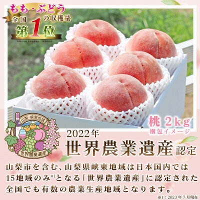 【ふるさと納税】2026年 先行予約【訳あり】山梨もも2kg以上 5～8玉 熟練農家厳選の旬の桃 ご家庭用_ ふるさと納税 桃 もも モモ フルーツ 果物 わけあり 訳アリ 完熟 旬 くだもの ふるさと 山梨 山梨県 山梨市 産地直送 人気【配送不可地域：離島・沖縄県】【1277692】 サムネイル3