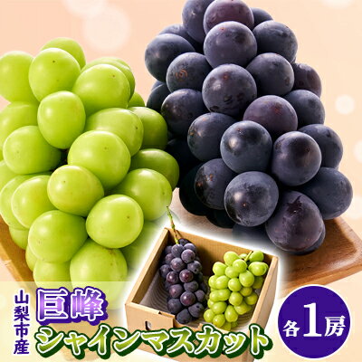 【2026年先行予約】大人気!巨峰・シャインマスカット食べ比べセット ふるさと納税 　【配送不可地域：離島・沖縄県】【1304385】