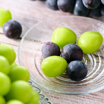 【ふるさと納税】【2026年先行予約】大人気!巨峰・シャインマスカット食べ比べセット ふるさと納税 　【配送不可地域：離島・沖縄県】【1304385】 サムネイル3