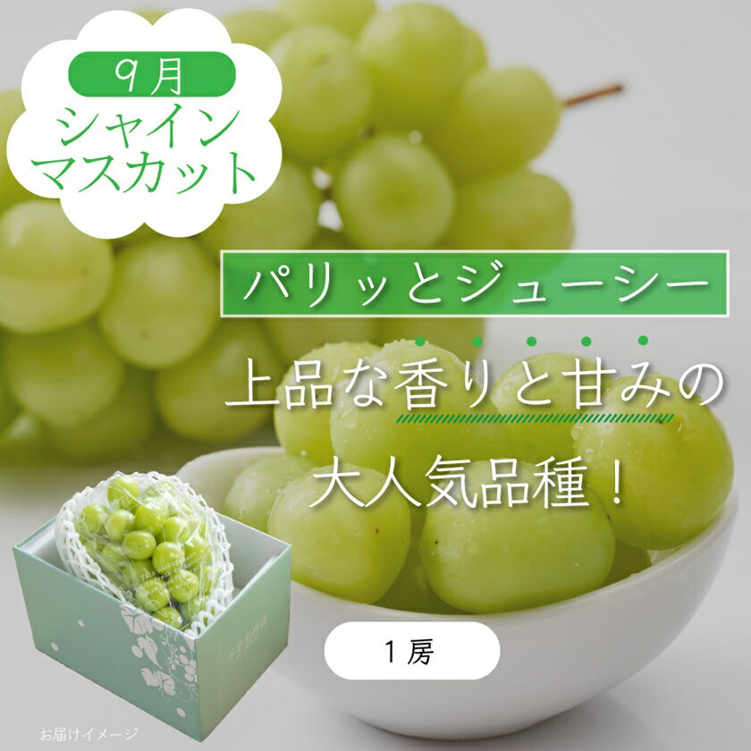 【ふるさと納税】【発送月固定定期便】山梨県産旬の大人気フルーツ【桃・巨峰・シャインマスカット】お試し定期便 全3回_ もも ぶどう フルーツ 果物 セット ギフト 産地直送 【配送不可地域：離島・沖縄県】【4013021】 サムネイル3