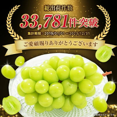 【ふるさと納税】2026年度先行予約 フルーツ王国山梨 シャインマスカット 2房 (1.2kg以上) プレミアム【配送不可地域：離島】【1105033】 サムネイル2