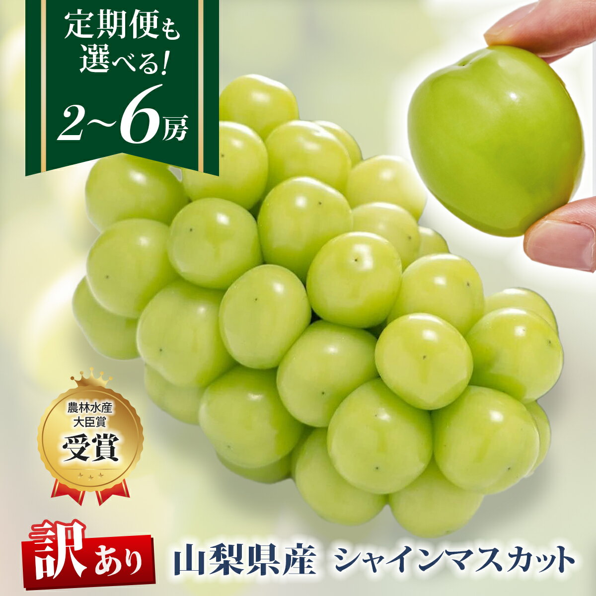 【訳あり】シャインマスカット選べる2～3房・3～4房 定期便 2回 3回_ シャインマスカット 1kg 1.5kg フルーツ 果物 訳アリ 家庭用 ぶどう ブドウ くだもの 人気 マスカット 山梨県 山梨市 【配送不可地域：離島】【G1456435】