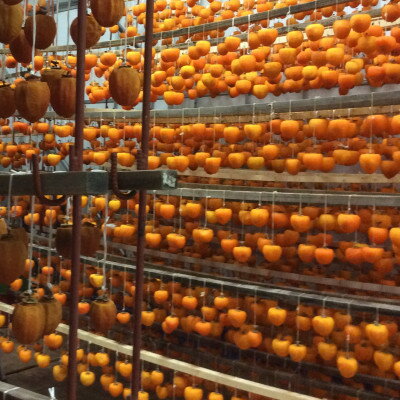 【ふるさと納税】冬の銘菓「枯露柿」　1号箱(約1.4kg　12～20個入)【1017354】 サムネイル3