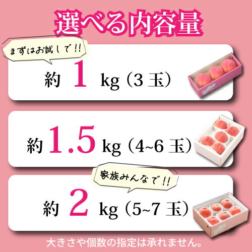 【ふるさと納税】【2026年 先行受付】旬の桃 ギフト箱入 選べる内容量 1kg 1.5kg 2kg 3kg 4kg_桃 山梨 もも モモ フルーツ 果物 くだもの ギフト 山梨県 人気 美味しい 送料無料【配送不可地域：離島・沖縄県】【G1017345】 サムネイル2