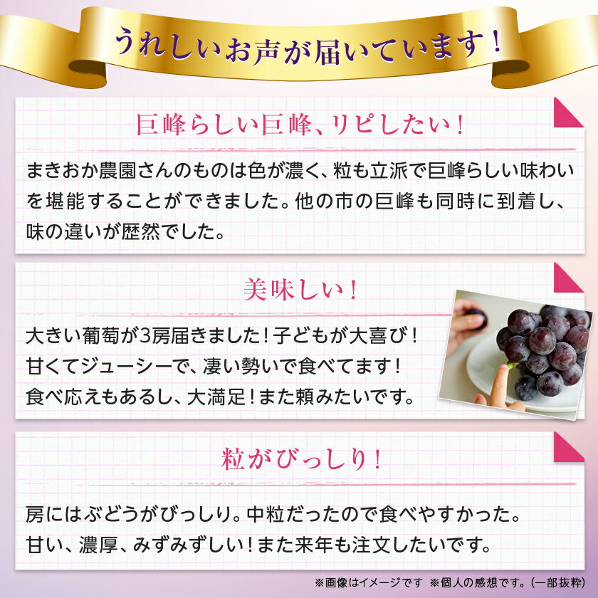 【ふるさと納税】巨峰約1.5kg/約2kg(3～4房/4～5房 ) 銀河農園まきおか甘くてジューシー巨峰 (種なし)_ ふるさと納税 ふるさと ぶどう ブドウ 葡萄 フルーツ 果物 くだもの 山梨県 山梨市 山梨 送料無料【配送不可地域：離島】【G1111660】 サムネイル2