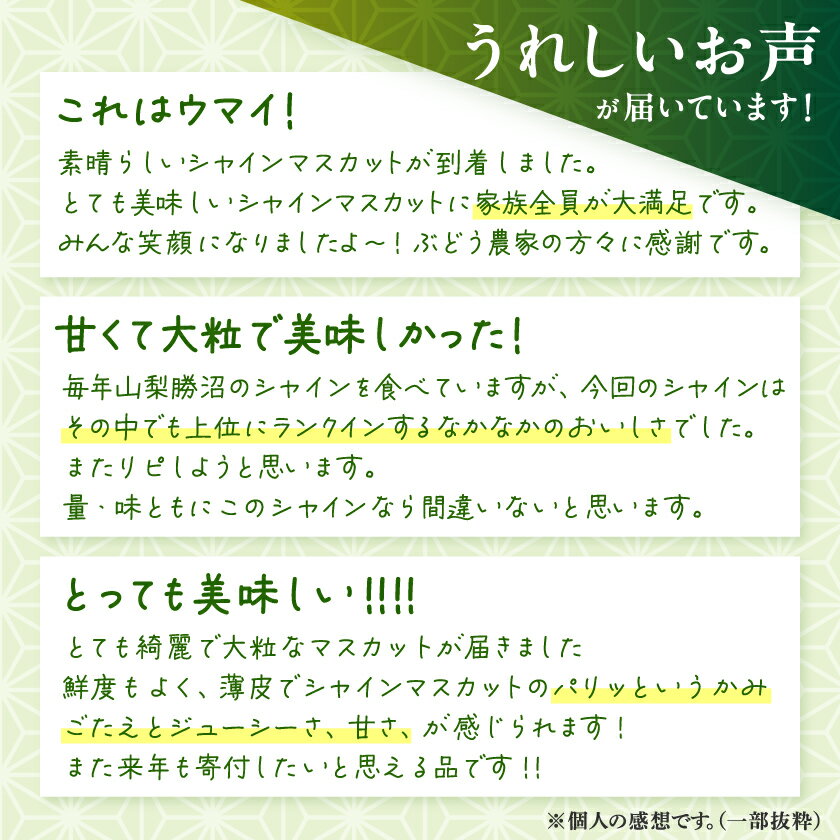 【ふるさと納税】シャインマスカット 1kg / 2kg 農家直送 世界農業遺産認定地特産_ シャインマスカット 山梨県 山梨 山梨市 マスカット ぶどう ブドウ 葡萄 果物 くだもの フルーツ 甘い 美味しい デザート 国産 人気 【配送不可地域：離島】【G1117446】 サムネイル2
