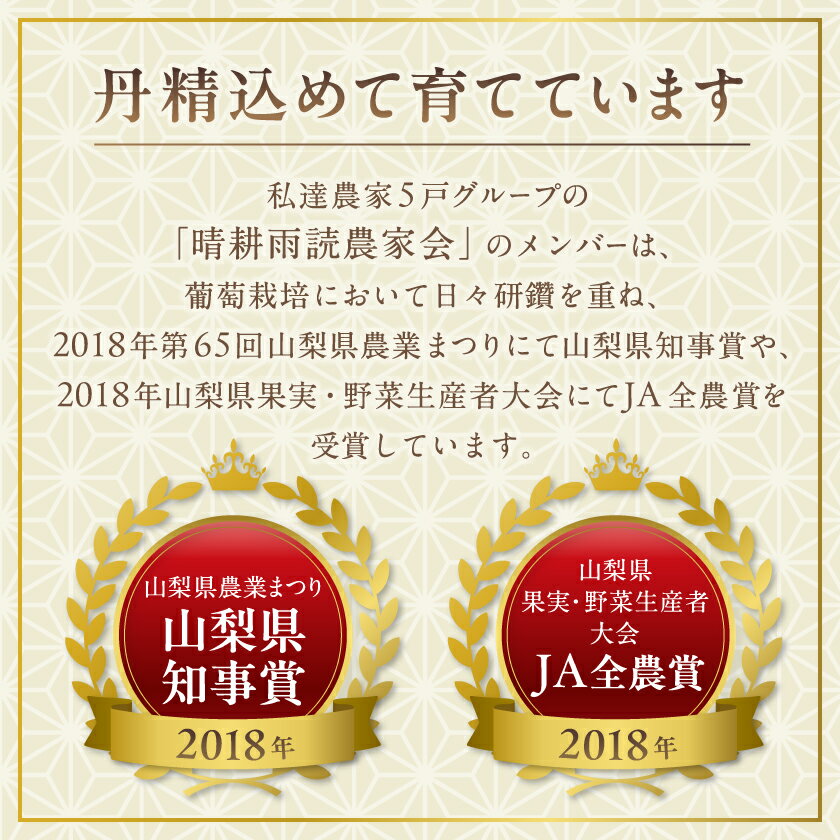 【ふるさと納税】シャインマスカット 1kg / 2kg 農家直送 世界農業遺産認定地特産_ シャインマスカット 山梨県 山梨 山梨市 マスカット ぶどう ブドウ 葡萄 果物 くだもの フルーツ 甘い 美味しい デザート 国産 人気 【配送不可地域：離島】【G1117446】 サムネイル3