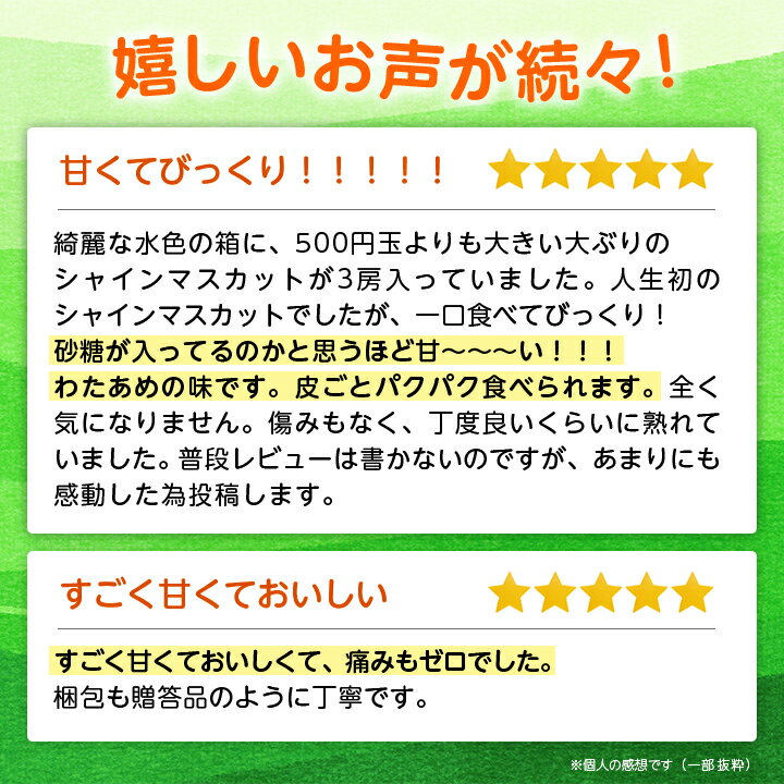 【ふるさと納税】山梨県山梨市産　旬の採れたてシャインマスカット　秀等品 約1.2kg/1.5kg/1.8kg/5kg_ ふるさと納税 ふるさと マスカット ぶどう ブドウ 葡萄 フルーツ 果物 くだもの 山梨 人気 送料無料【配送不可地域：離島・沖縄県】【G1134846】 - 画像2