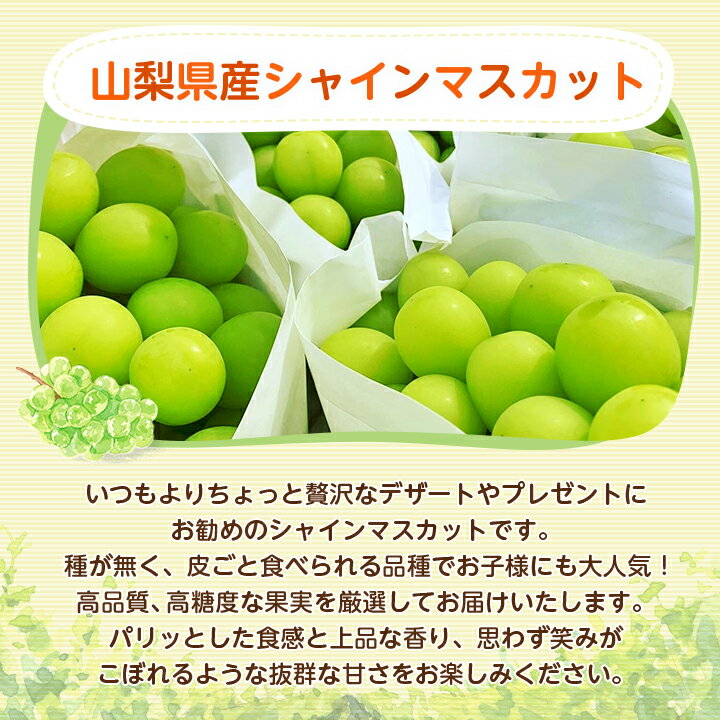 【ふるさと納税】山梨県山梨市産　旬の採れたてシャインマスカット　秀等品 約1.2kg/1.5kg/1.8kg/5kg_ ふるさと納税 ふるさと マスカット ぶどう ブドウ 葡萄 フルーツ 果物 くだもの 山梨 人気 送料無料【配送不可地域：離島・沖縄県】【G1134846】 - 画像3