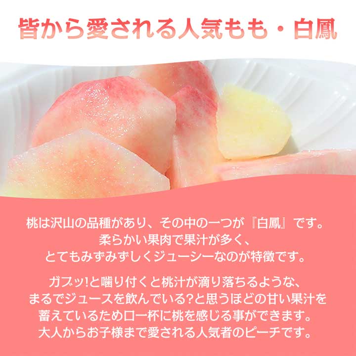 【ふるさと納税】《2026年発送　先行予約》桃 『白鳳系』 約2kg 5～8玉 朝もぎ直送! 選び抜かれた桃_ ふるさと納税 ふるさと もも モモ 白鳳 フルーツ 果物 くだもの 山梨県 山梨市 山梨 人気 送料無料【配送不可地域：離島】【1275881】 - 画像2