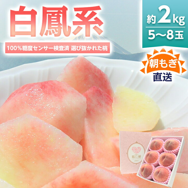 《2026年発送　先行予約》桃 『白鳳系』 約2kg 5～8玉 朝もぎ直送! 選び抜かれた桃_ ふるさと納税 ふるさと もも モモ 白鳳 フルーツ 果物 くだもの 山梨県 山梨市 山梨 人気 送料無料【配送不可地域：離島】【1275881】