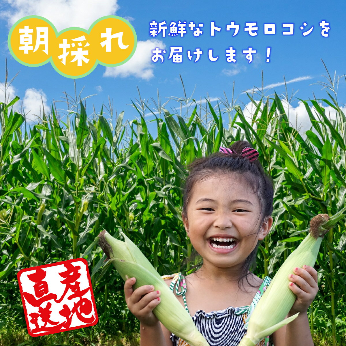 【ふるさと納税】【2026年収穫分先行予約】富士山の白いトウモロコシ　5本 - 画像2