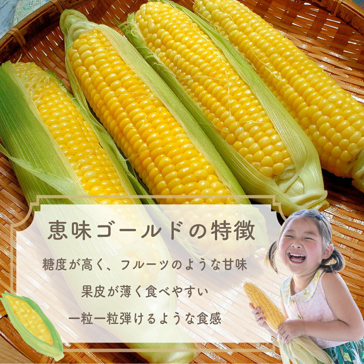 【ふるさと納税】【2026年収穫分先行予約】【訳あり】富士山 恵味ゴールド トウモロコシ 10～15本 とうもろこし コーン 訳あり わけあり 山梨県産 山梨 大月 産地直送 おすすめ 人気 2026年産 甘い 野菜 美味しい 新鮮 - 画像2