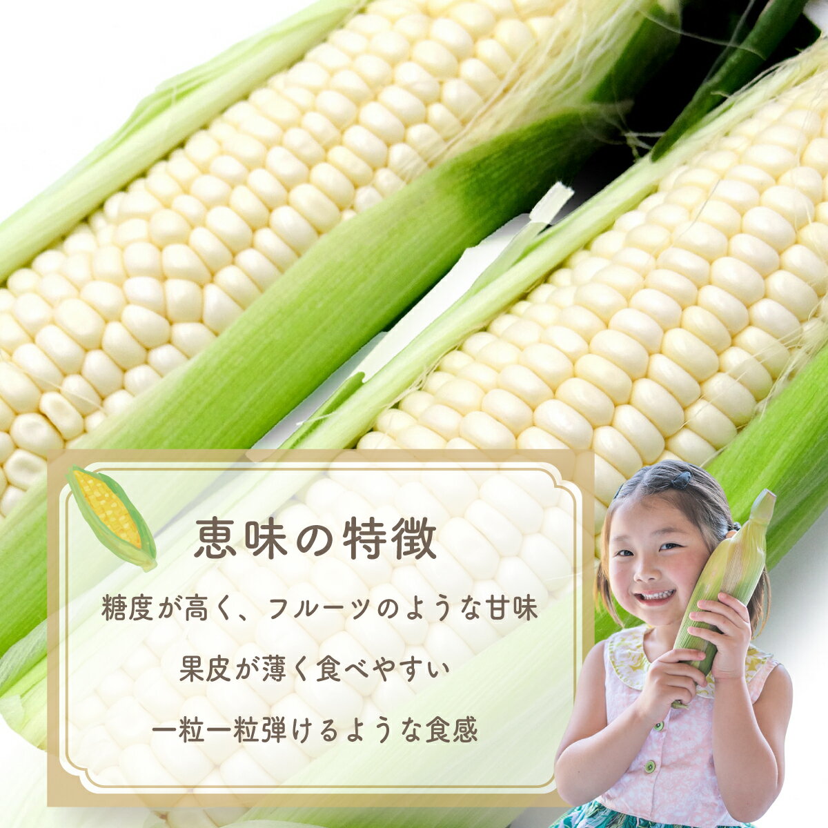 【ふるさと納税】【2026年収穫分先行予約】富士山の白いトウモロコシ　5本 - 画像3