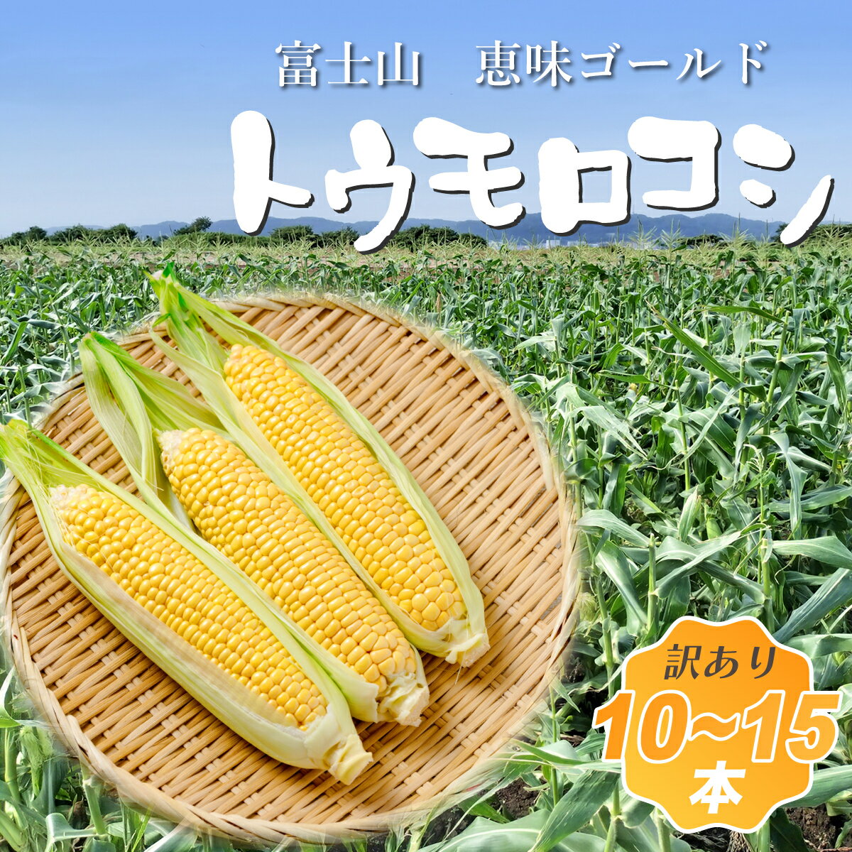 【2026年収穫分先行予約】【訳あり】富士山 恵味ゴールド トウモロコシ 10～15本 とうもろこし コーン 訳あり わけあり 山梨県産 山梨 大月 産地直送 おすすめ 人気 2026年産 甘い 野菜 美味しい 新鮮