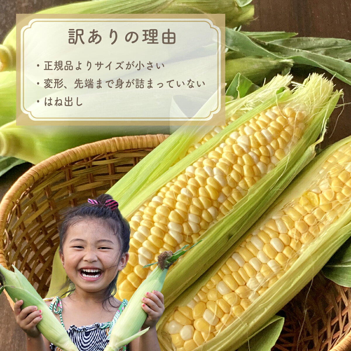 【ふるさと納税】【2026年収穫分先行予約】【訳あり】富士山 恵味ゴールド トウモロコシ 10～15本 とうもろこし コーン 訳あり わけあり 山梨県産 山梨 大月 産地直送 おすすめ 人気 2026年産 甘い 野菜 美味しい 新鮮 - 画像3