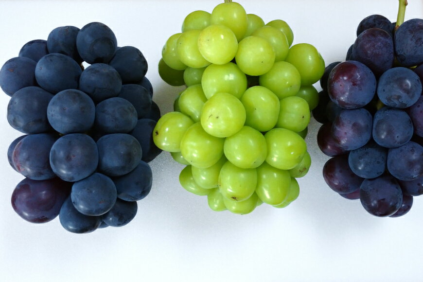 【ふるさと納税】 【2026年発送】 ぶどう 先行予約 シャインマスカット & ピオーネ 詰め合わせ 約2kg ぶどう 食べ比べ 山梨 やまなし ブドウ 葡萄 2キロ 2種 フルーツ 果物 山梨県産 産地直送 期間限定 季節限定 冷蔵 [フルーツランド平賀 山梨県 韮崎市 20742835] サムネイル3