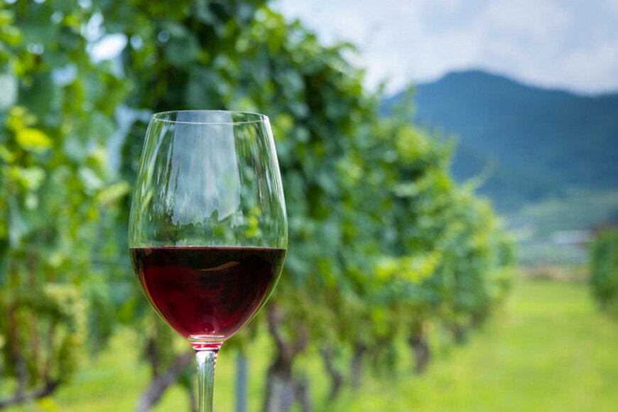 【ふるさと納税】 ワイン 山梨 定期便 3回 飲み比べ 詰め合わせ ワインセット セット 穂坂マスカット・ベーリーA シングル・ヴィンヤード 750ml 2種 3回 酒 ワイン 赤ワイン [シャトー・メルシャン 勝沼ワイナリー 山梨県 韮崎市 20743312] サムネイル2