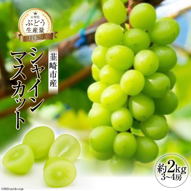 【2026年発送】 シャインマスカット 予約 約 2kg シャイン マスカット 山梨 ぶどう ブドウ 葡萄 種なし 果物 フルーツ 2キロ 山梨県産 産地直送 期間限定 季節限定 冷蔵 [フルーツランド平賀 山梨県 韮崎市 20742831]