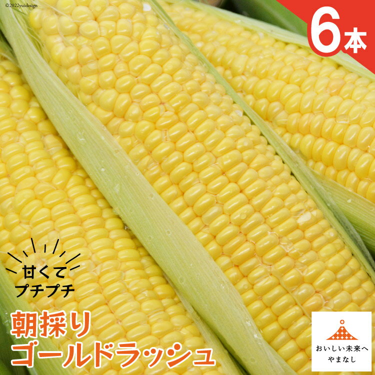 【期間限定発送】 朝採り 即出荷 甘くてプチプチ ゴールドラッシュ 6本 [しゃんと畑 山梨県 韮崎市 20745240] 野菜 とうもろこし トウモロコシ