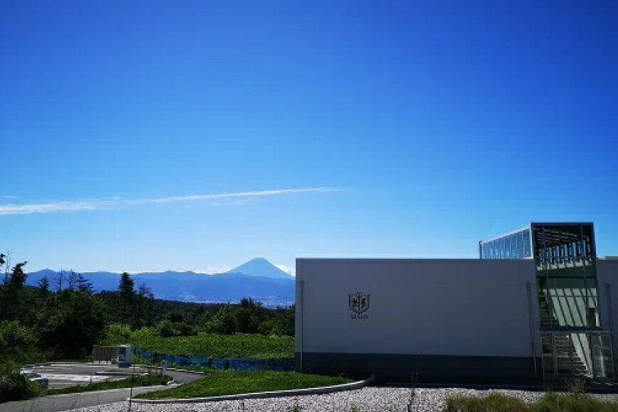 【ふるさと納税】 ワイン 山梨 赤ワイン 白ワイン 赤 白 2本 セット マルスワインシルバー 1.8L 12度 一升瓶 ミディアムボディ 甲州 飲み比べ 果実酒 晩酌 母の日 父の日 ギフト 送料無料 [本坊酒造 マルス穂坂ワイナリー 山梨県 韮崎市 20743452] サムネイル3