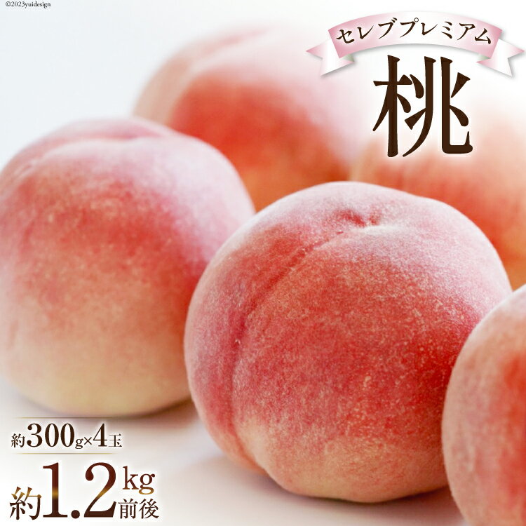 【2026年発送】桃 山梨 セレブ プレミアム 一玉 約 300g 4玉 1.2kg 前後 韮崎市産 もも モモ フルーツ 果物 山梨県産 産地直送 期間限定 季節限定 冷蔵[Inakakara 山梨県 韮崎市 20743488]