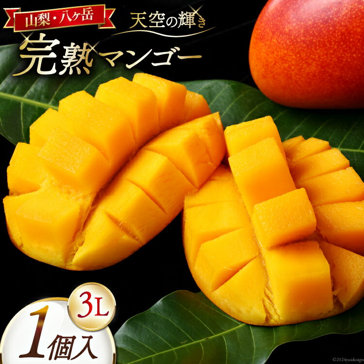 【期間限定発送】 完熟 マンゴー 「天空の輝き」 3L 1個 アップルマンゴー [採園 山梨県 韮崎市 20743271] マンゴー アップルマンゴー フルーツ 果物 完熟 期間限定 季節限定 冷蔵