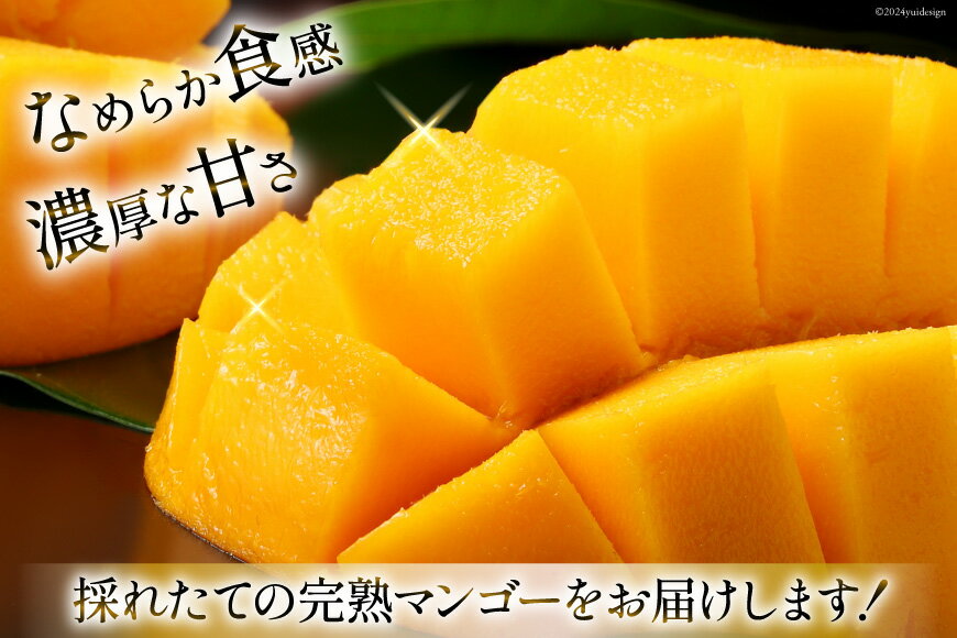 【ふるさと納税】 【期間限定発送】 完熟 マンゴー 「天空の輝き」 3L 1個 アップルマンゴー [採園 山梨県 韮崎市 20743271] マンゴー アップルマンゴー フルーツ 果物 完熟 期間限定 季節限定 冷蔵 サムネイル2