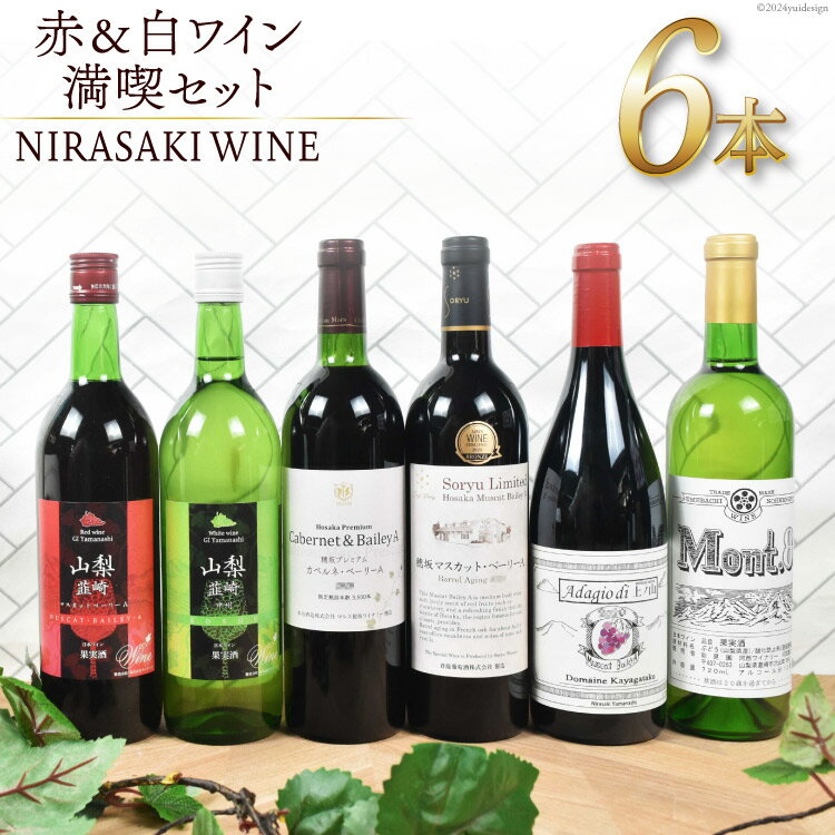 ワイン 山梨 飲み比べ 詰め合わせ お酒 酒 ぶどう 葡萄 ブドウ 赤 白 赤ワイン 白ワイン ワインセット 山梨県産 NS-0009 韮崎市産 ワイン満喫 　6本 セット果実酒 晩酌 母の日 父の日 記念日 ギフト 送料無料 [韮崎翠緑 山梨県 韮崎市 20743659]