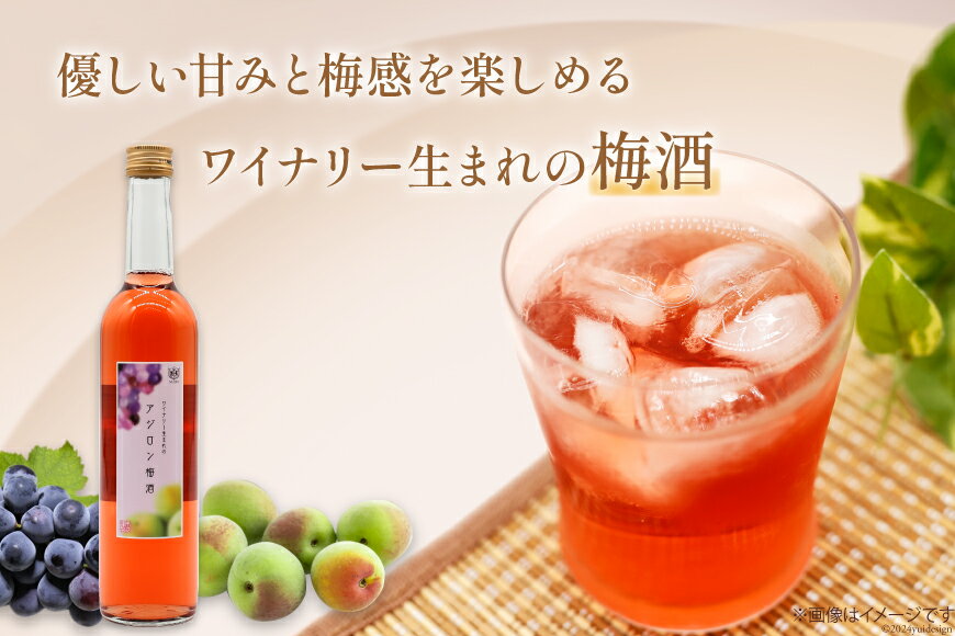 【ふるさと納税】 梅酒 酒 お酒 アルコール 甘口 やや甘口 アジロン梅酒 500ml 1本 ロック 炭酸水 お試し ギフト プレゼント 果実酒 晩酌 母の日 父の日 記念日 ギフト 送料無料 [本坊酒造 マルス穂坂ワイナリー 山梨県 韮崎市 20742611] サムネイル2
