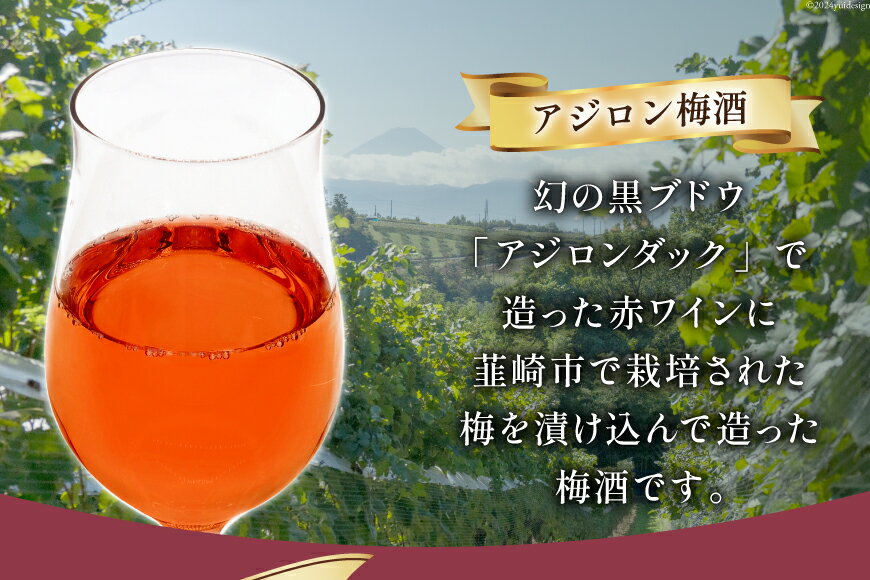 【ふるさと納税】 梅酒 酒 お酒 アルコール 甘口 やや甘口 アジロン梅酒 500ml 1本 ロック 炭酸水 お試し ギフト プレゼント 果実酒 晩酌 母の日 父の日 記念日 ギフト 送料無料 [本坊酒造 マルス穂坂ワイナリー 山梨県 韮崎市 20742611] サムネイル3