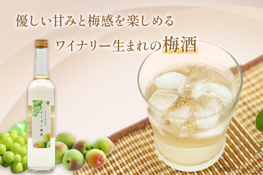 【ふるさと納税】 お酒 酒 梅 梅酒 アルコール 白 やや甘口 お酒 ロック 炭酸水 セミヨン梅酒 500ml 1本 お試し ギフト プレゼント 果実酒 晩酌 母の日 父の日 記念日 ギフト 送料無料 [本坊酒造 マルス穂坂ワイナリー 山梨県 韮崎市 20742612] サムネイル2