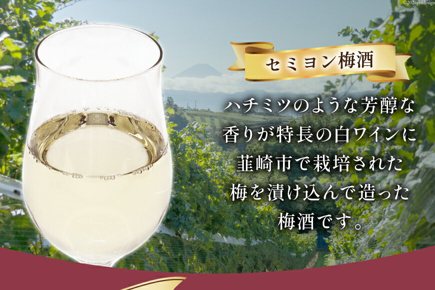 【ふるさと納税】 お酒 酒 梅 梅酒 アルコール 白 やや甘口 お酒 ロック 炭酸水 セミヨン梅酒 500ml 1本 お試し ギフト プレゼント 果実酒 晩酌 母の日 父の日 記念日 ギフト 送料無料 [本坊酒造 マルス穂坂ワイナリー 山梨県 韮崎市 20742612] サムネイル3