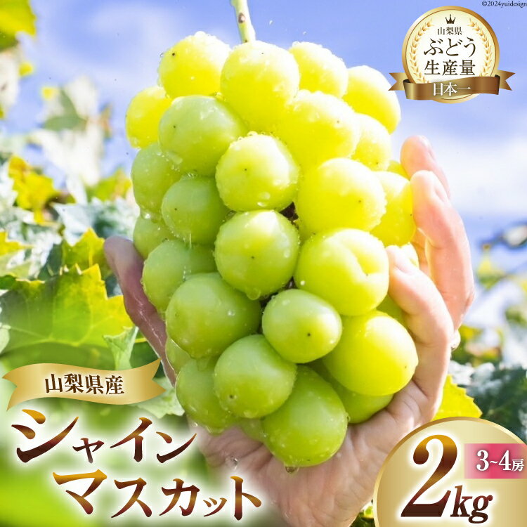 【2026年発送】先行受付 シャインマスカット 山梨 予約 約 2kg 3～ 4房 厳選 フルーツ大国 山梨県 産地直送 フルーツ 果物 マスカット シャイン 先行予約 ブドウ ぶどう 葡萄 種無し 2キロ 数量限定 山梨県産 [OUTTA REACH JAPAN 山梨県 韮崎市 20742972]
