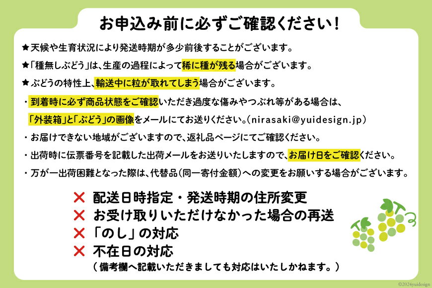 【ふるさと納税】 【2026年発送】先行受付 シャインマスカット 山梨 予約 約 2kg 3～ 4房 厳選 フルーツ大国 山梨県 産地直送 フルーツ 果物 マスカット シャイン 先行予約 ブドウ ぶどう 葡萄 種無し 2キロ 数量限定 山梨県産 [OUTTA REACH JAPAN 山梨県 韮崎市 20742972] サムネイル3