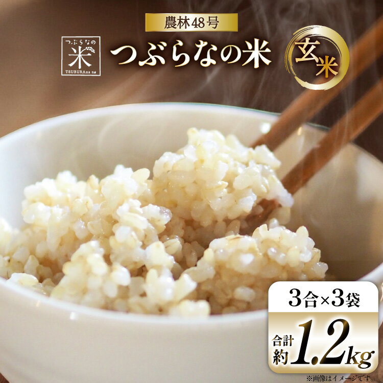 米 令和7年 つぶらなの米 農林48号 玄米 3合×3袋 [つぶらな 山梨県 韮崎市 20741897] 玄米 げんまい お米 こめ コメ おこめ ご飯 ごはん お試し 少量 小分け 山梨県産
